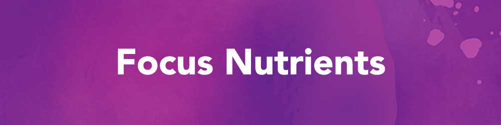 Focus Nutrients