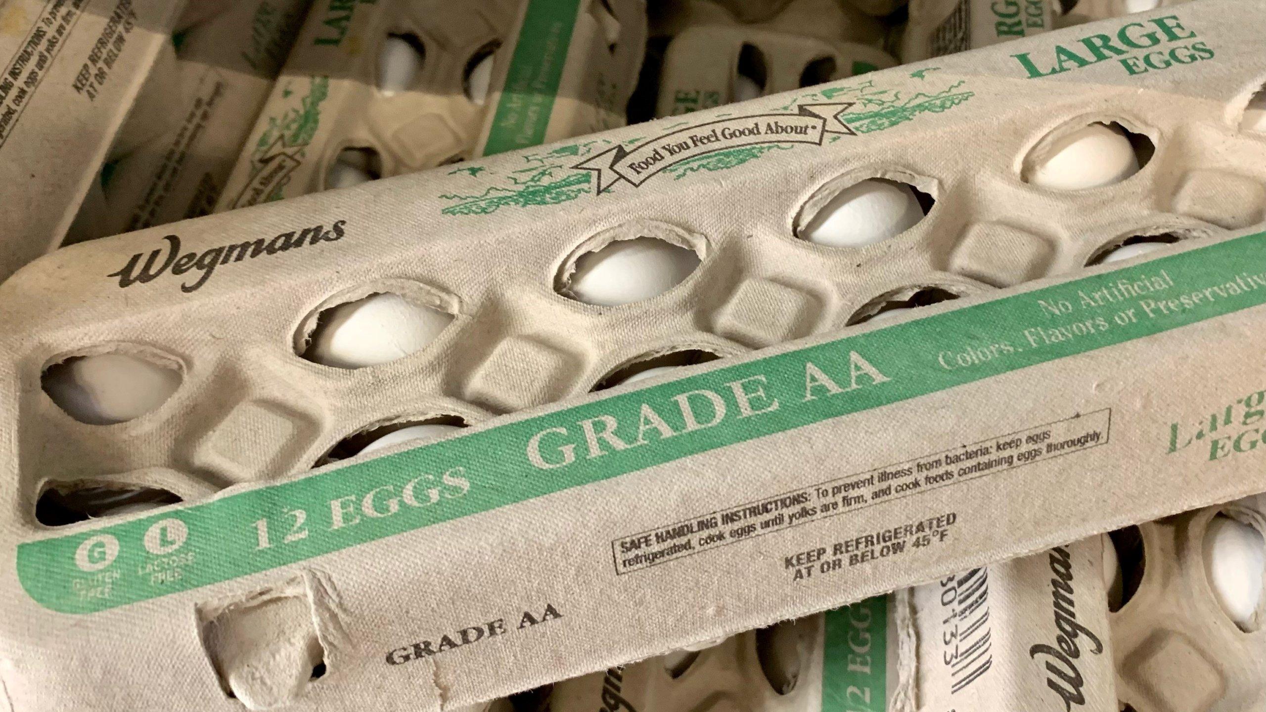 Egg Cartons - Recycle